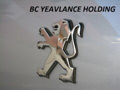 Personal pentru BC Yeanlance Holding, urgent